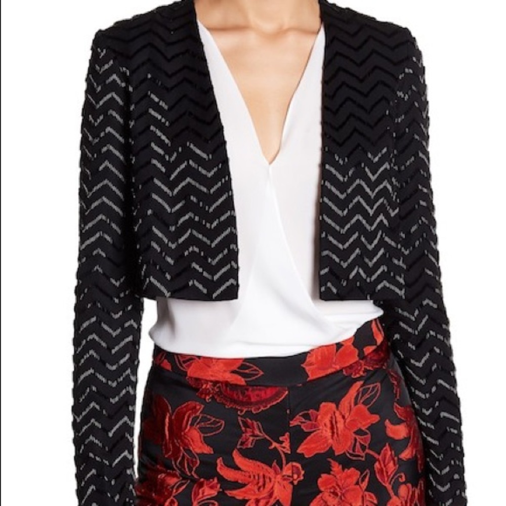 alice + olivia Peyton Embellished Jacket